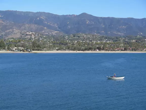 Small aquarium with beautiful jellies, touch tanks, and an opening to the sea floor!
