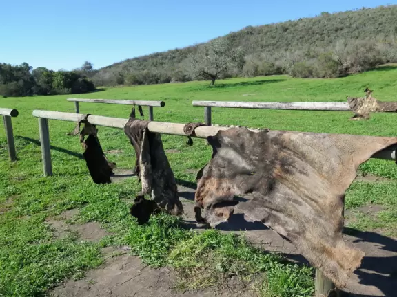 A salmon-pink mission set among gorgeous countryside with little rooms that transport you to the 1820s.