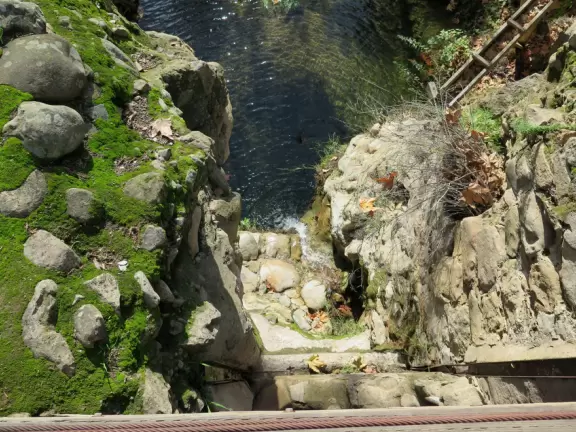 Great for a hike amongst redwoods, gnarled oaks, and deciduous trees.