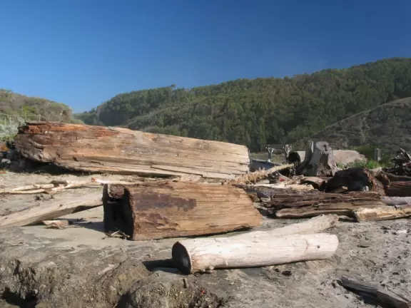 A small beach with a sandstone rock formation to climb and play on.
