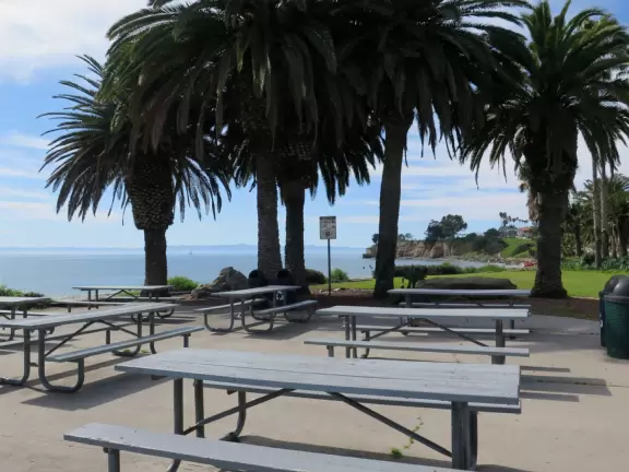 A crescent-shaped beach with rock pools, yellow and white cliffs, and surfers riding small waves near to shore. <br /><br />