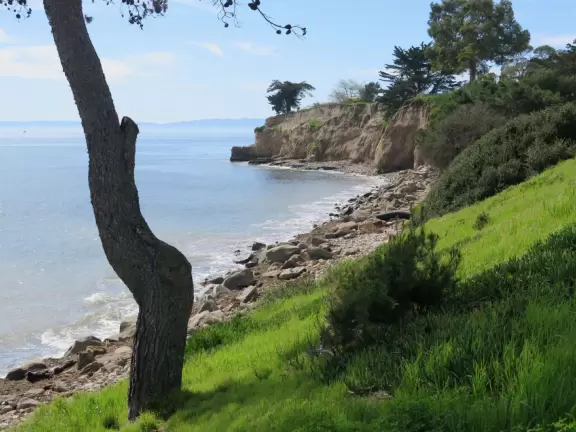 A crescent-shaped beach with rock pools, yellow and white cliffs, and surfers riding small waves near to shore. <br /><br />