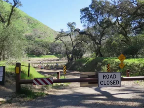 A rugged, grassy area below impressive cliffs, with BBQs and room to roam.