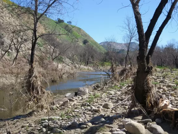 A peaceful spot for an ice-cold swim! You may even see deer run by!
