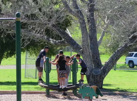 Twenty-minute wooded hike that leads to a high waterfall over mossy walls.