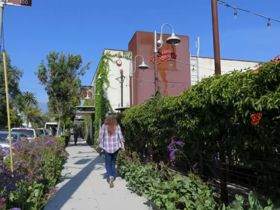 Hip area with wine bars, cafes, and bakeries, where you can sit on a patio surrounded by ivy-covered walls.