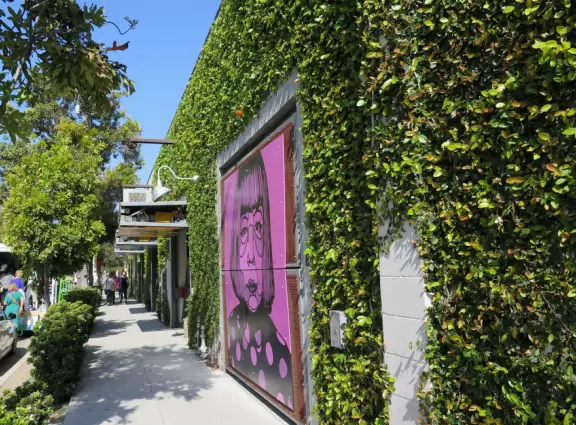 Hip area with wine bars, cafes, and bakeries, where you can sit on a patio surrounded by ivy-covered walls.