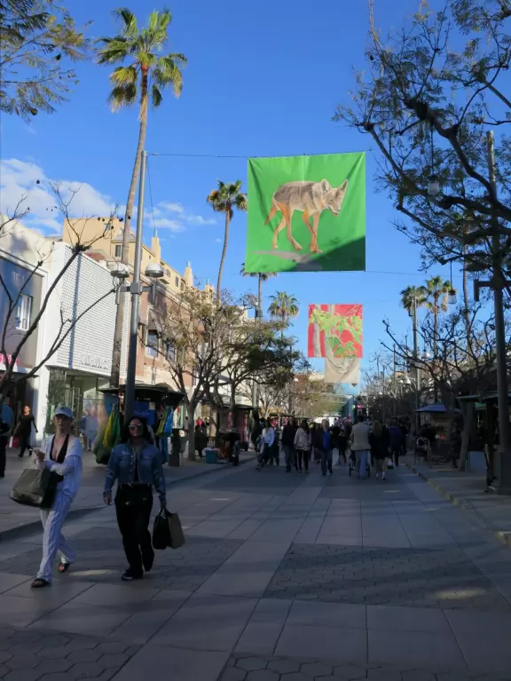 A pretty, pedestrian-only street, with performers, tons of people, and lots of shopping.