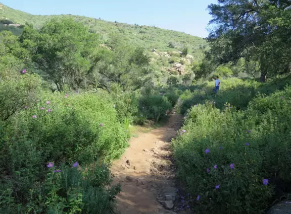 A beautiful hike above a stream, that leads to Cookie Monster Rock!