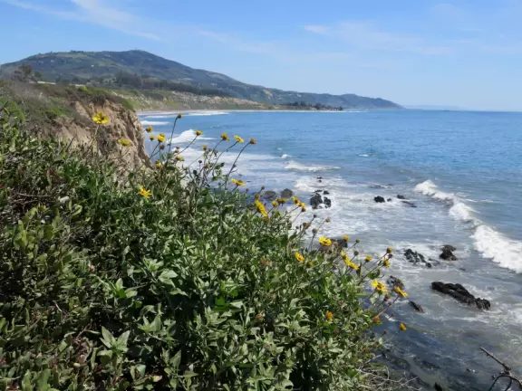 In winter, see the harbor seals play below the cliffs. All year, walk the trail above the cliffs.