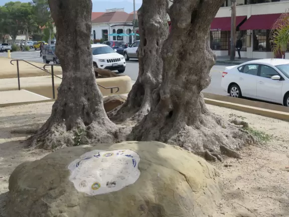 A walk amongst Santa Barbara's colonial history and beautiful Spanish-Moorish architecture.