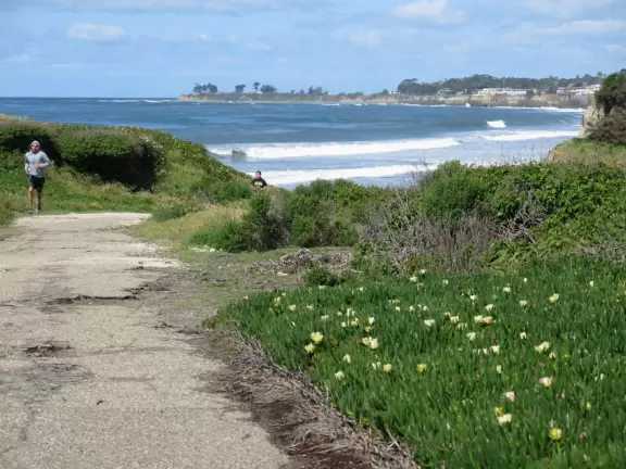 Bluff-top trail full of flowers in the spring. Lovely rugged beach and lagoon below.