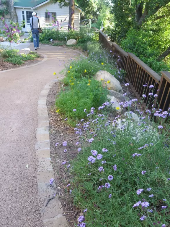 Great for a hike amongst redwoods, gnarled oaks, and deciduous trees.