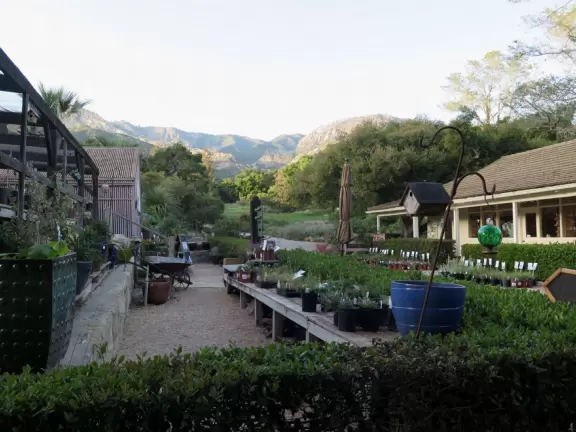 Great for a hike amongst redwoods, gnarled oaks, and deciduous trees.
