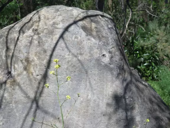 Pretty trail past granite rock faces and alongside a stream.
