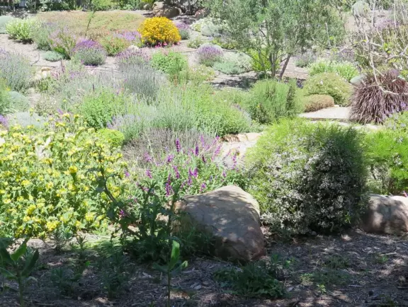 Pretty trail past granite rock faces and alongside a stream.