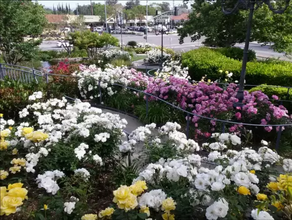 A shopping plaza with sidewalks cafes and shops that would look like Europe if it weren't so new!