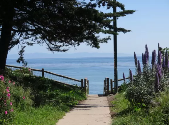 Isla Vista is where many UCSB students live, often ten or more in one beach house. It's a lively town where you can see some wacky sights!