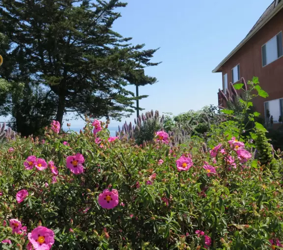 Isla Vista is where many UCSB students live, often ten or more in one beach house. It's a lively town where you can see some wacky sights!