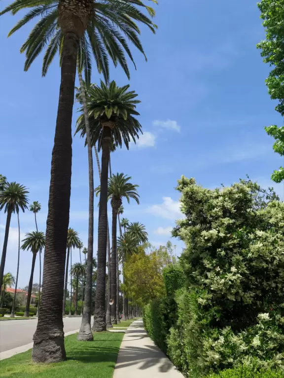 Walk past the mansion of Beverly Hills.