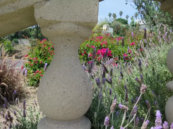 On a steep hill sits Greystone Mansion and its formal terraced gardens, which you enter free.