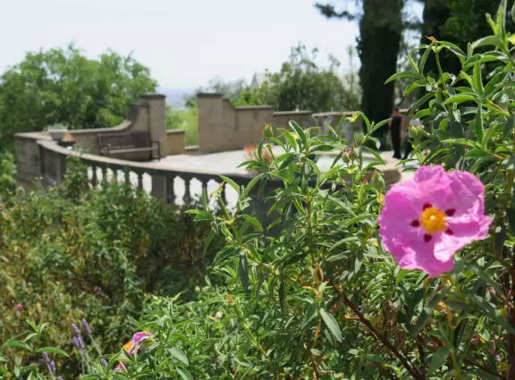 On a steep hill sits Greystone Mansion and its formal terraced gardens, which you enter free.