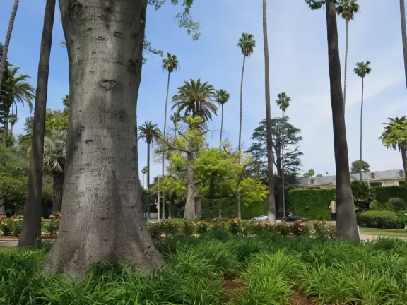 Small, gorgeous park with old trees, tropical plants, flowers, roses, and a pond with koi and turtles.