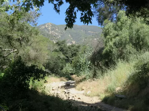 Beautiful drive to an uphill trail.