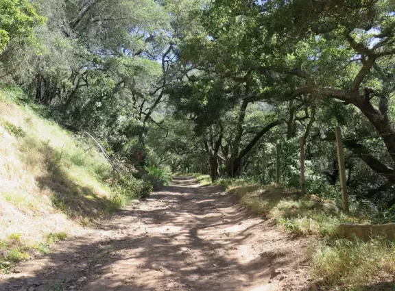 Beautiful drive to an uphill trail.
