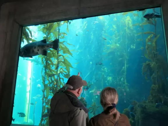 Amazingly beautiful aquarium, but unbearably crowded and ridiculously expensive.