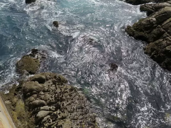 Amazingly beautiful aquarium, but unbearably crowded and ridiculously expensive.