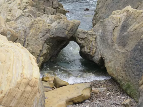 A stunning white-sand cove with clear green-blue waters, baby seals, and cliffs covered in flowers.