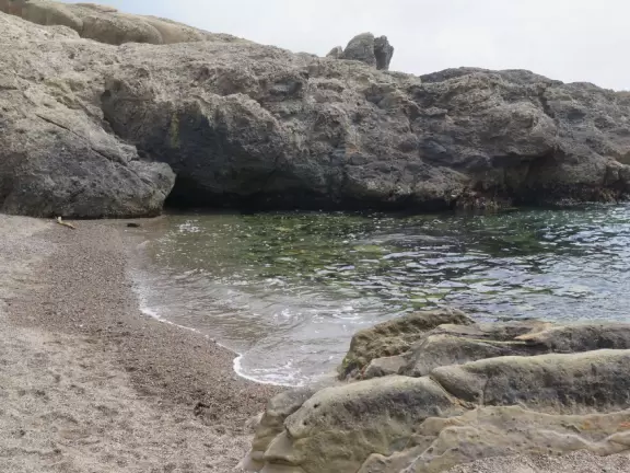 A stunning white-sand cove with clear green-blue waters, baby seals, and cliffs covered in flowers.