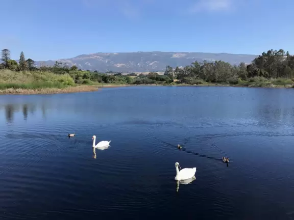 Joggers enjoy the wide trails and expansive views at Lake Los Carneros.