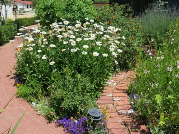 Small park with creek, adobe house, flower baskets, a few shops.