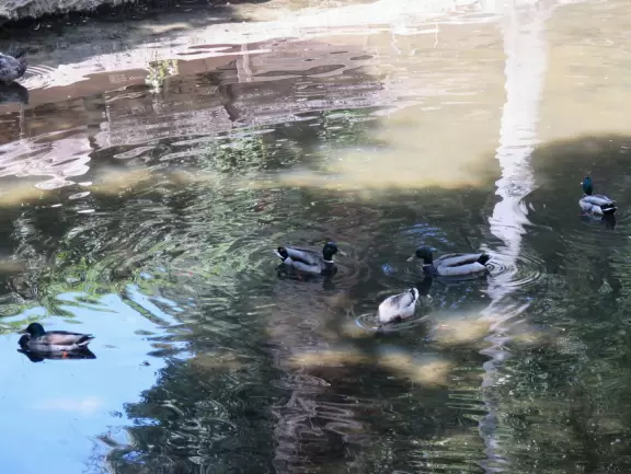 Small park with creek, adobe house, flower baskets, a few shops.