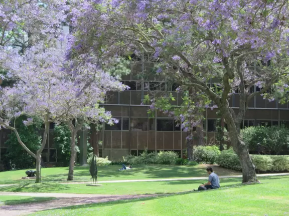 A magical spot where birds sing in the trees, students lay out on the little grassy knolls, and statues enlighten.