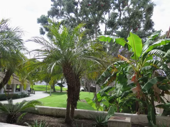 Pretty park on the marina with green hills and lots of picnic areas.