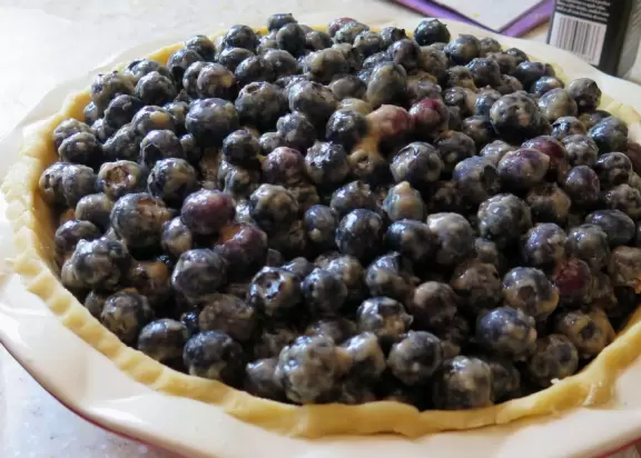 Pick (and eat) blueberries with your kids in perfect Solvang countryside.