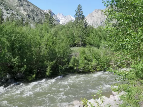 Gorgeous hike along a stream under towering pines and soaring mountain views.