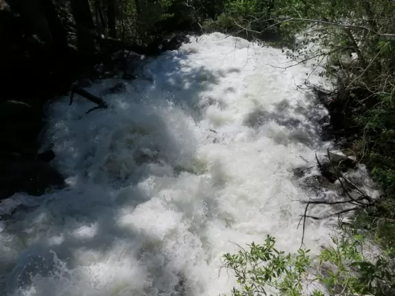 Gorgeous hike along a stream under towering pines and soaring mountain views.