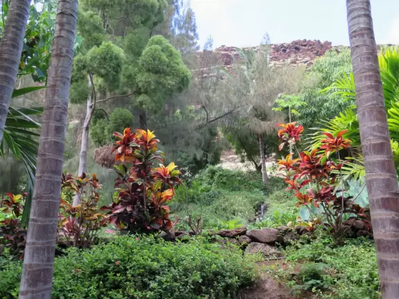 Tropical garden with short trails and ocean views.