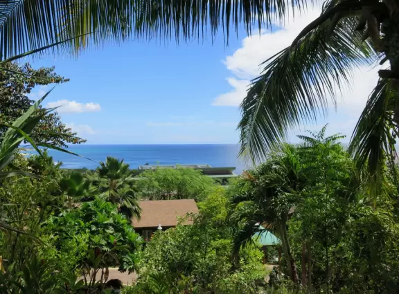 Tropical garden with short trails and ocean views.
