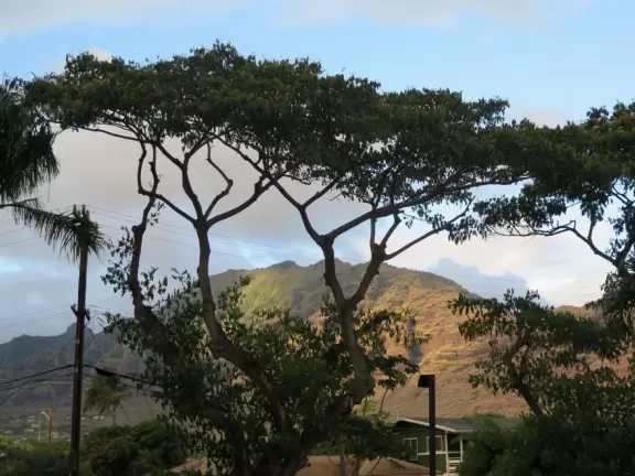 Beautiful, uncrowded beach with steep dropoff and large waves.