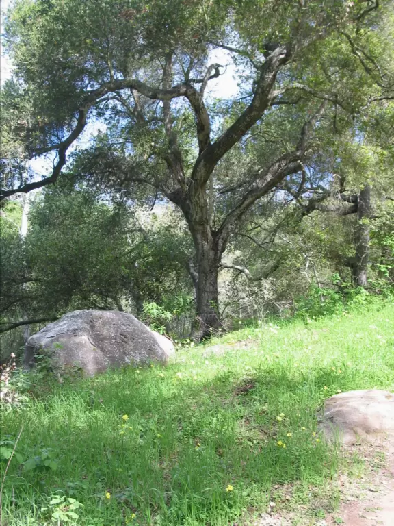 A small park tucked into a canyon in the back of a beautiful neighborhood.