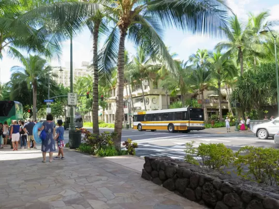 Main street in Waikiki where you can shop for tropical treats.