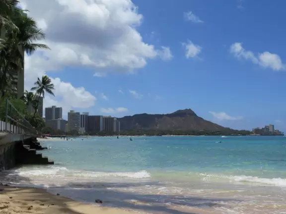 Main street in Waikiki where you can shop for tropical treats.