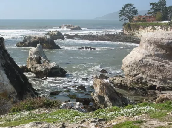 A great place to picnic or marry, with sea caves and jutting sea rocks below cliffs of hanging flowers.