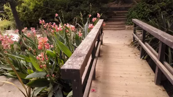 A park of exquisite beauty, with flowering trees and a picnic lawn fronting a pond full of turtles and koi.