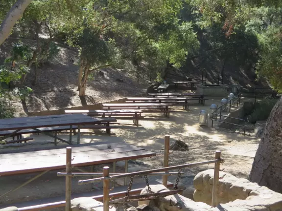 A green sloped lawn with huge, healthy pines that shade you, picnic areas with hanging vines, and a toddler playground.